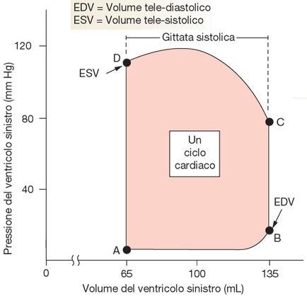 Gittata sistolica = quantità di sangue pompata da un ventricolo durante una contrazione.