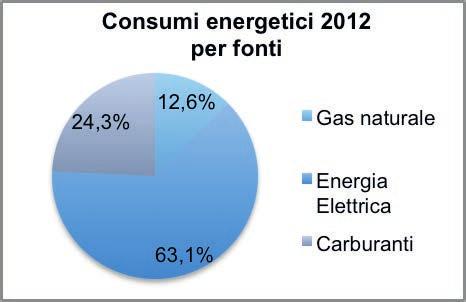 prevalentemente per erogare il Servizio Idrico Integrato e l illuminazione pubblica.