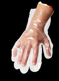 LOW DENSITY POLYETHYLENE GLOVES (LDPE) disposable, ambidextrous. Powder free.