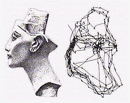 Il segnale neurale fornisce le coordinate di un