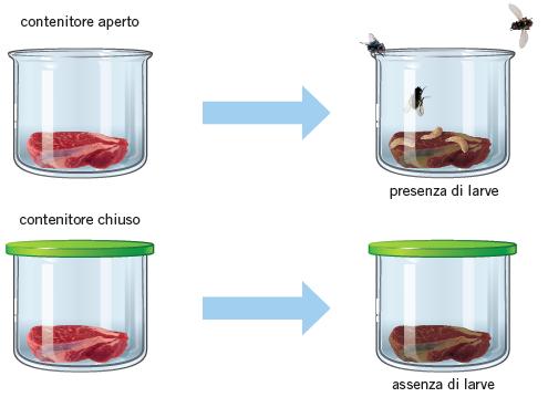 4. Gli esperimenti di Redi e Pasteur Fino al Seicento la teoria della generazione spontanea fu sostenuta da molti studiosi e pensatori.