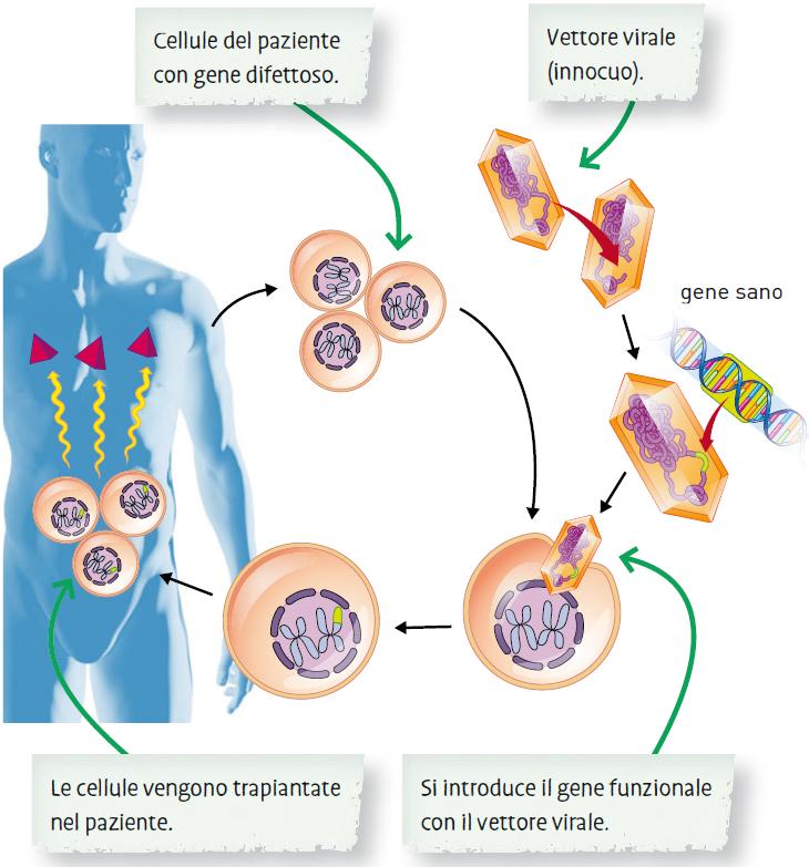 21. L ingegneria