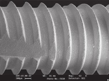 Come illustrato nell ingrandimento al SEM i picchi sono inferiori a pochi micron, sicuramente minori delle dimensioni cellulari, in accordo con i recenti sviluppi sull effetto delle dimensioni della