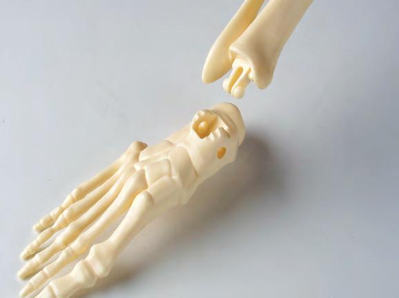 Monta gli arti inferiori cominciando dalla gamba destra, composta da tre parti: femore destro, tibia e perone