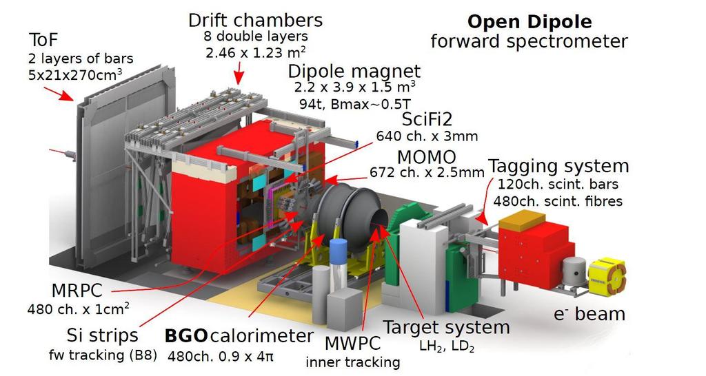 Misure di Fotoproduzione di con BGO-OD (1) Regione centrale: (25-155 ): BGO + barrel + MWPC Rivelazione di fotoni => E,,f Ricostruzione delle tracce delle particelle cariche (discriminazione