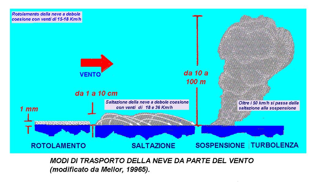 LA NEVE ED IL VENTO Il trasporto eolico della neve è un importante caratteristica del manto nevoso in quanto la ridistrubuzione della neve trasportata dal vento può essere causa di distacco di