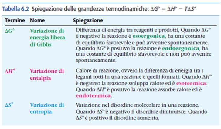 Termodinamica e