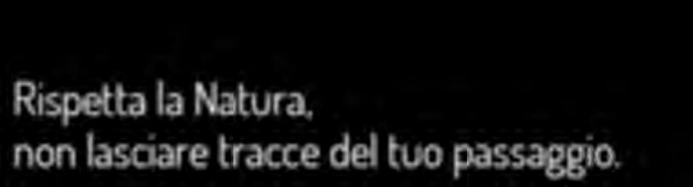 possono contaminare l ambiente. 0 Gnocchi, C.