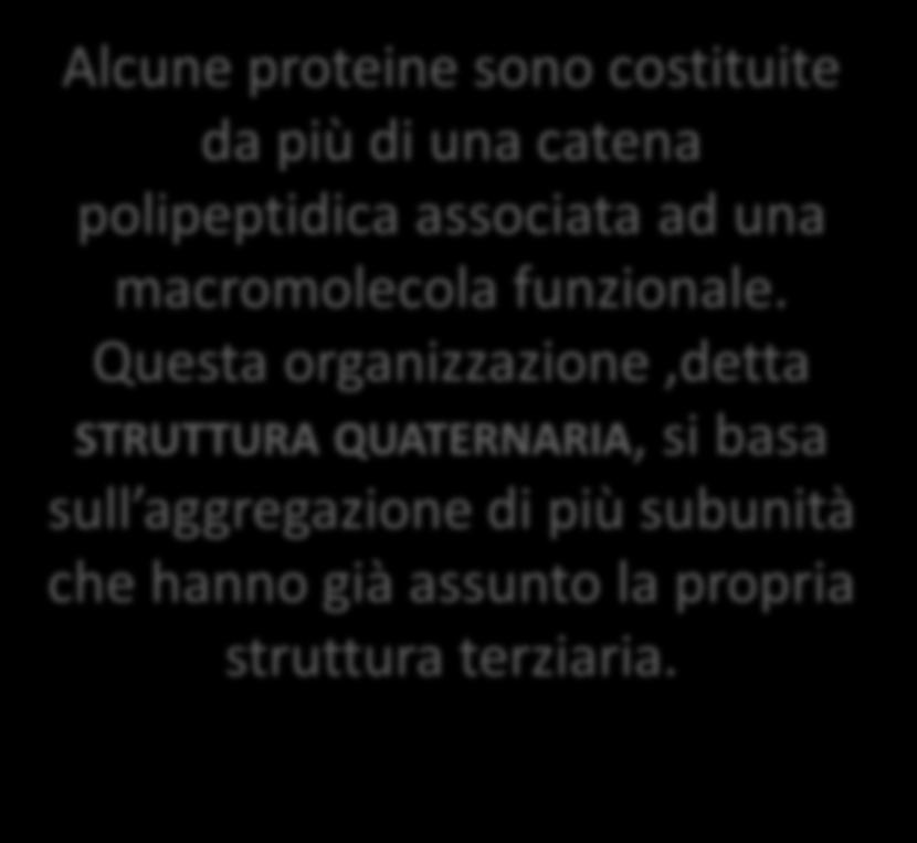 Alcune proteine sono costituite da più di una catena polipeptidica