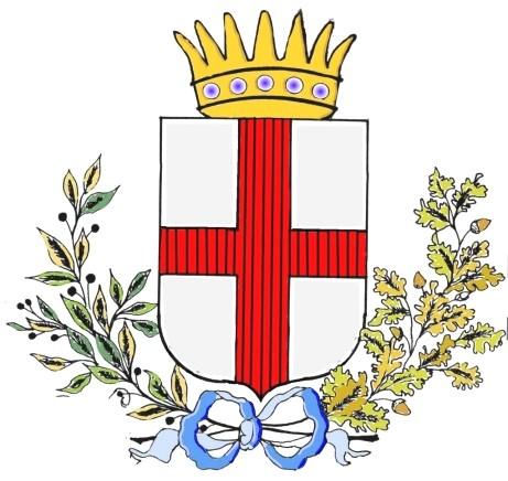 Comune di SANT ANGELO IN VADO Provincia di Pesaro e Urbino REGOLAMENTO per l istituzione e il funzionamento