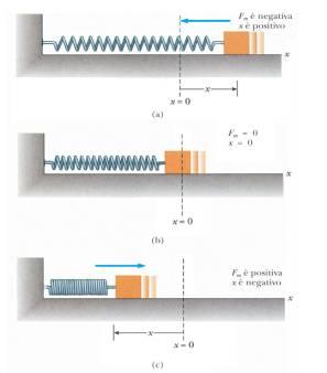 capo fisso Forza Elastica capo mobile molla allungata : per reazione, la molla tira il blocco verso sinistra con una forza F per ripristinare lo stato di riposo molla in stato di riposo : non è