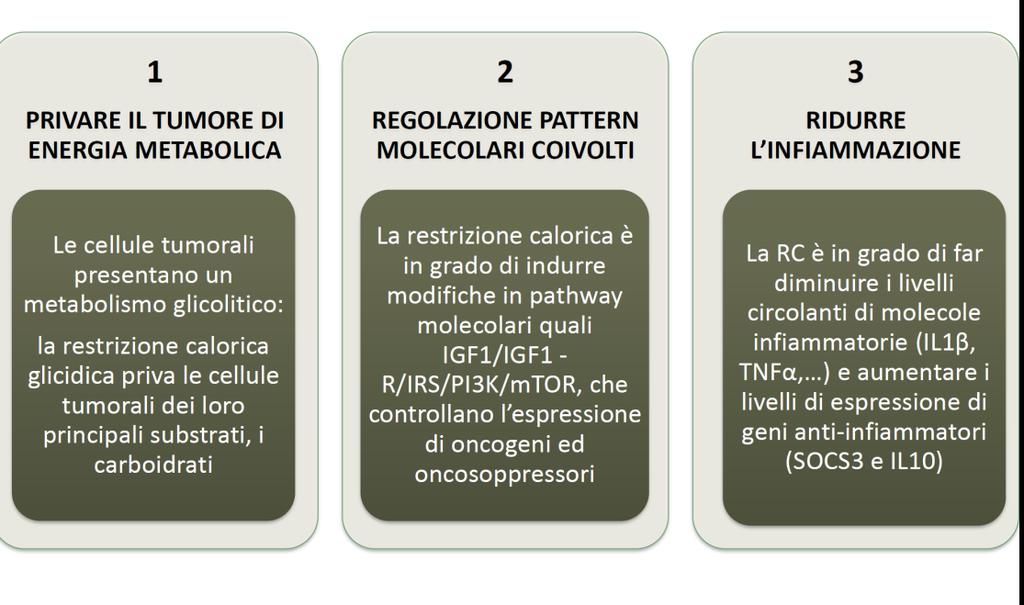 RAZIONALE DELLA