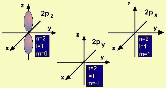 Orbitali p Orbitali p l=1 Gli orbitali p sono 3 poiché l=1 e quindi sono possibili i valori di m l