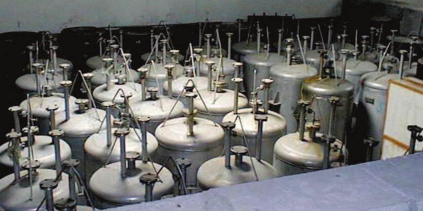 Principali attività in corso Centrale Enrico Fermi di Trino completata istruttoria sul Progetto Particolareggiato (PP) relativo al trattamento delle resine (WOT Wet Oxidation