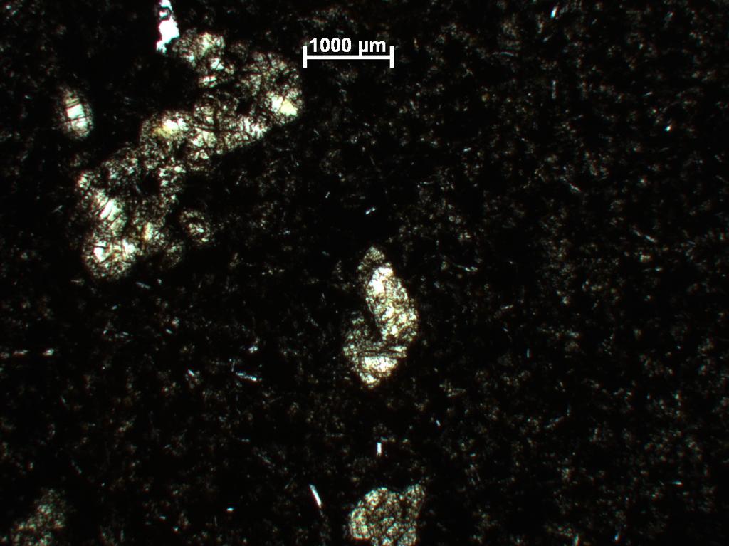 ANALISI INCLUSIONI FLUIDE AL MICROSCOPIO