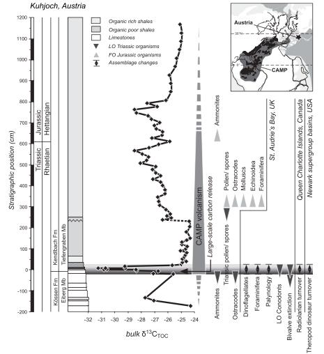 1.2 La CAMP al limite Triassico- Giurassico 1. Shift isotopici del C prima del limite T-J 2. Immissione in atmosfera di CO2 3.