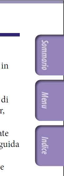 Informazioni sui manuali Con il lettore sono forniti i manuali riportati di seguito.