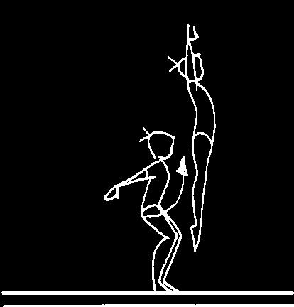 CATEGORIA D CATEGORIA E TRAVE Si fa obbligo di eseguire 2 travi, l esercizio può essere senza coreografia 1.
