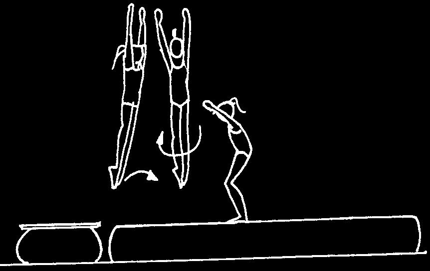 CATEGORIA C VOLTEGGIO Esecuzione di un solo salto. Se nullo la ginnasta può ripetere solo un altro salto. Tappetoni cm 50 Capovolta saltata O tuffo Elevazione insufficiente: fino a 0.