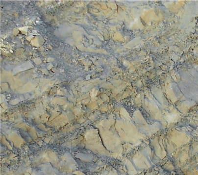Fig. 5 - Affioramento situato alla base del versante di Monte Montrone (quota 715 m. s.l.m.); si tratta di alternanza di strati di arenarie e argilliti.