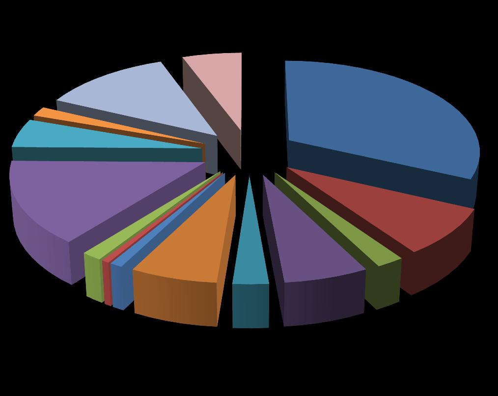 Diagnosi 2% 12% 5% 15% 1% 1% 1% 6% 6% 3% 6% 32% 8% 2% Stroke