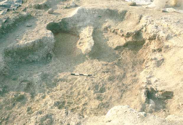 rocchetto e una fuseruola coevi ad essa che fanno ipotizzare l