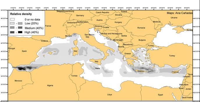 Figure 1 Relative density of beaked whales predicted through habitat modelling of 1990-2010 data (Cañadas et al., 2011).