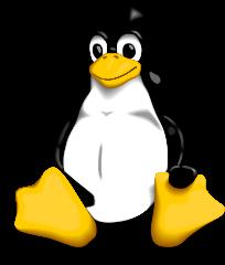 Cos è Linux? È un S.O.