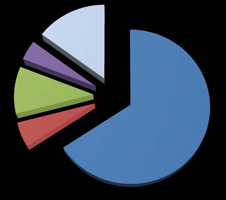 08.04.2016 Pagina 1 di 1 Grafico 2: Consuntivo 2015, ripartizione gruppo 318 Servizi ed onorari 318.04 Assicurazioni immobili 4.2% 318.06 Altri servizi 14.9% 318.