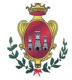 Provincia di Caserta GIUNTA COMUNALE CODICE RESPONSABILITA DISCIPLINARE