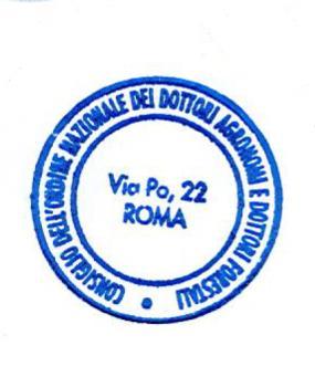 Curriculum formativo e professionale: con specifico riguardo al possesso di titoli di studio, attestati formativi e delle precedenti esperienze maturate in relazione all incarico da affidare.