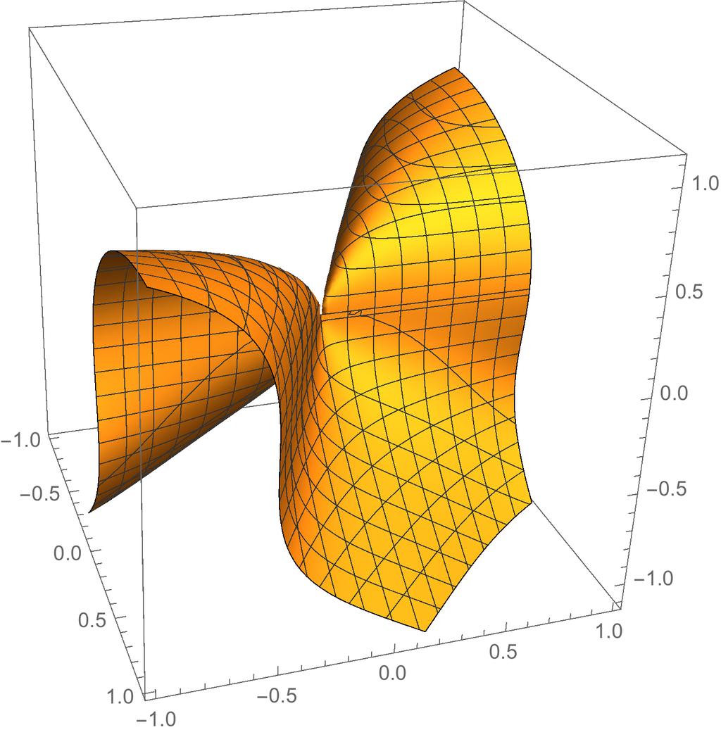Figure 4: La superficie Σ in un intorno di P.