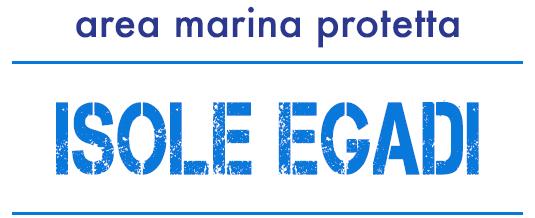 08 del 16/02/2002; VISTO il D.lgs.267/2000 e successive modifiche ed integrazioni; PRESO ATTO che è competenza del Direttore dell A.M.P. adottare atti di impegno di spesa e liquidazione di spesa derivanti da contratti, determinazioni, ecc.