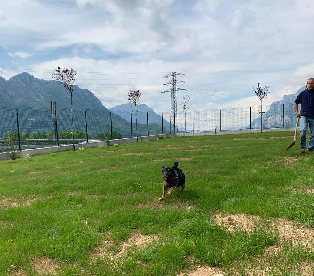 Apre il bypass di Chiuso, diviso il traffico da e per Lecco 4 Missy inaugura la nuova area per cani A verificare i lavori, lunedì pomeriggio, erano presenti sia l assessore comunale Corrado Valsecchi