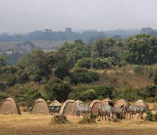 Si attraverserà tutto l altipiano della Rift Valley, nel nord del paese, attraverso vere e proprie icone come il Cratere di Ngorongoro e il Parco Nazionale del Serengeti, dentro cui sono stati