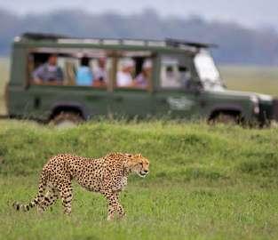 La caratteristica principale della Ngorongoro Conservation Area è il cratere vulcanico al suo interno, di cui porta il nome.