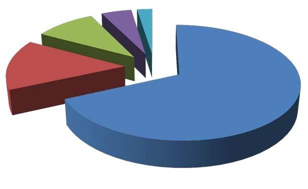 Professionisti dei media 2% Percentuali tipologie di utenti