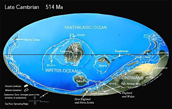 CAMBRIANO il supercontinente Gondwana occupa l emisfero sud attorno all equatore si trovano tre continenti la collisione tra