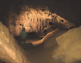 caverna giunge fino alla attuale risorgente, perenne, del complesso; c) il complesso ipogeo della Tanaccia, propriamente detta, percorribile a monte dell ingresso, inaccessibile a valle; d) la