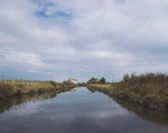 Un canale circondariale distribuisce le acque nelle diverse zone della Salina. LA SALINA DI CERVIA: LA PRODUZIONE DEL SALE.