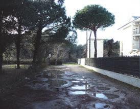 Una delle numerose traverse che connettono v.le Matteotti al percorso tangente la pineta. 3.