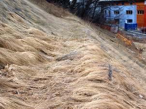 lo scorrimento dell acqua al di sopra della coltre vegetale allettata, che