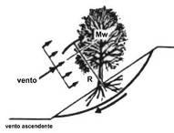 terreno con il loro peso e non innescano fenomeni