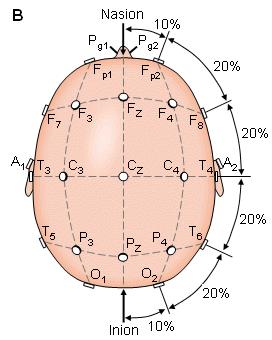 cranio (F-frontale, T-temporale, C-centrale, P-parietale ed O-occipitale) un numero, relativo all emisfero del cervello (pari=emisfero sinistro,