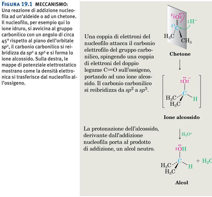 Riduzione di carbonili ad alcoli Figura 19.1 MECCANISMO: Una reazione di addizione nucleofila ad un aldeide o ad un chetone.