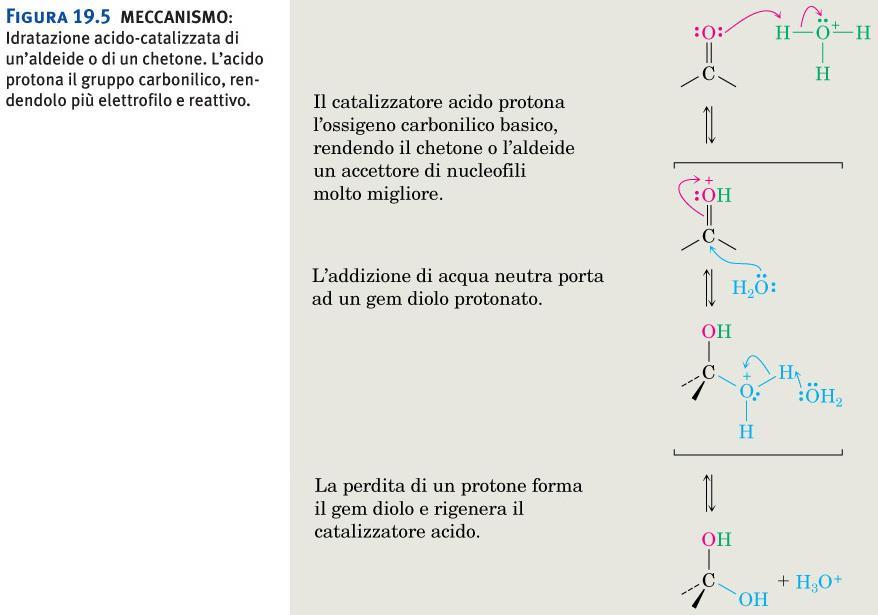 Addizione di acqua: idratazione acido catalizzata con formazione di dioli geminali Figura 19.