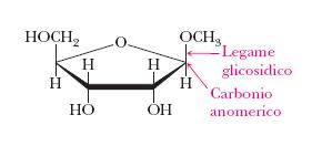 Formazione di acetali negli zuccheri: Glicosidi