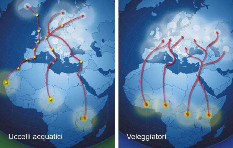 Figura - stagione autunnale (1º agosto - 30 settembre); stagionepre-invernale (1º ottobre - 30 novembre); stagione invernale (dicembre - gennaio - febbraio).