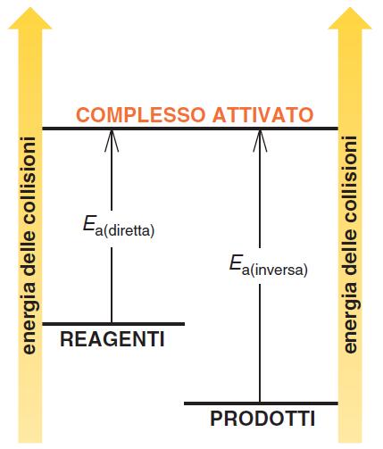 Energia di attivazione (Ea) Affinché le collisioni tra le particelle siano efficaci e portino a un atto reattivo), deve essere superato un valore soglia dell energia.