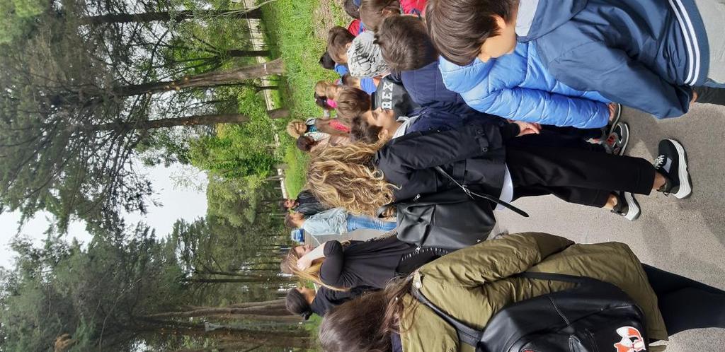 3 Il parco del Campus Passeggiata nella pineta Visita ai